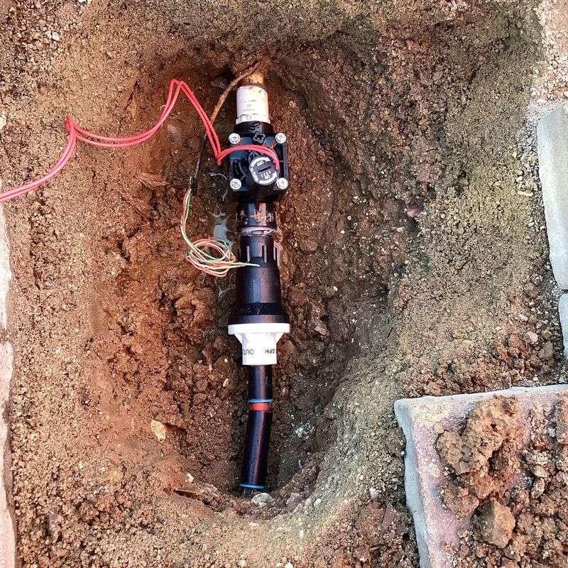 Set Up Efficient Irrigation For Desert Conditions