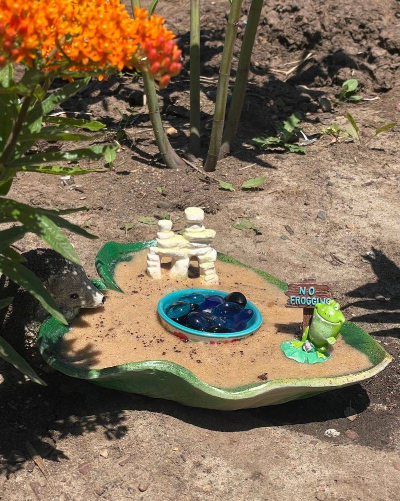 Provide Shallow Water For Drinking And Cooling