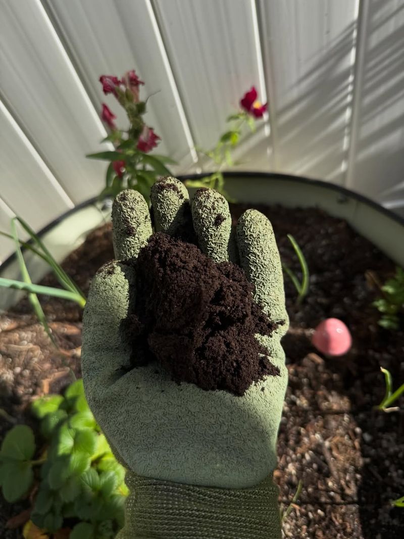 Worm Castings Feed Soil Without Overdoing It