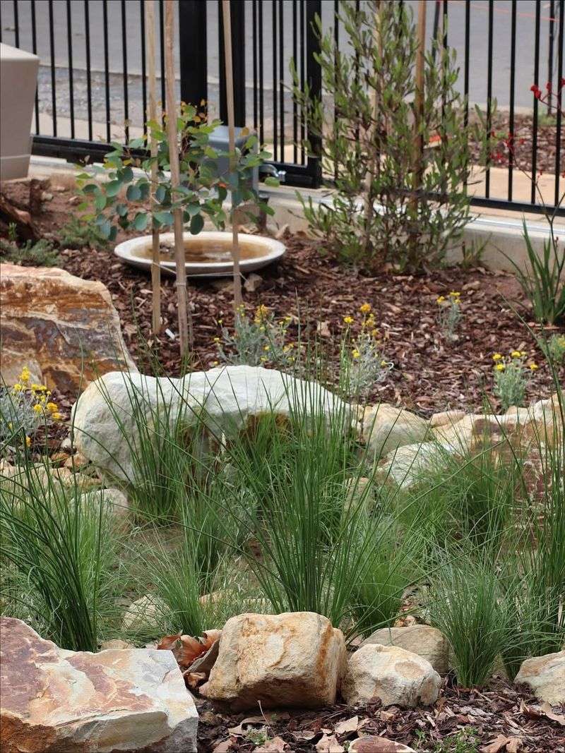 Cuts Down On Chemicals