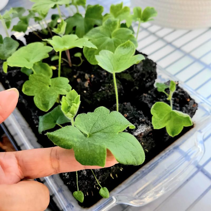 Monitor Temperature Fluctuations