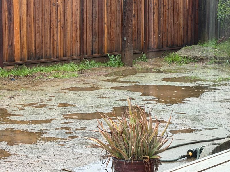 Poor Water Retention