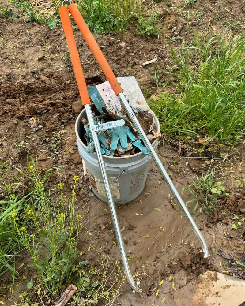 Use The Dark Of The Moon For Garden Cleanup And Bed Preparation