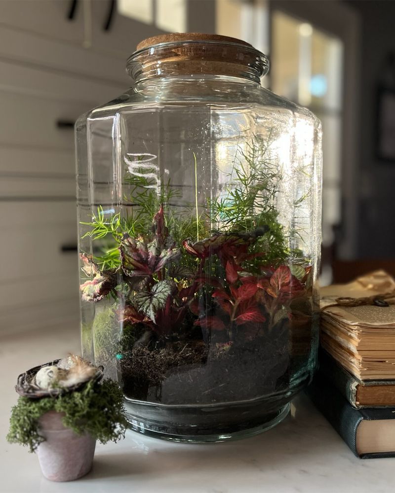 Terrarium Building Station