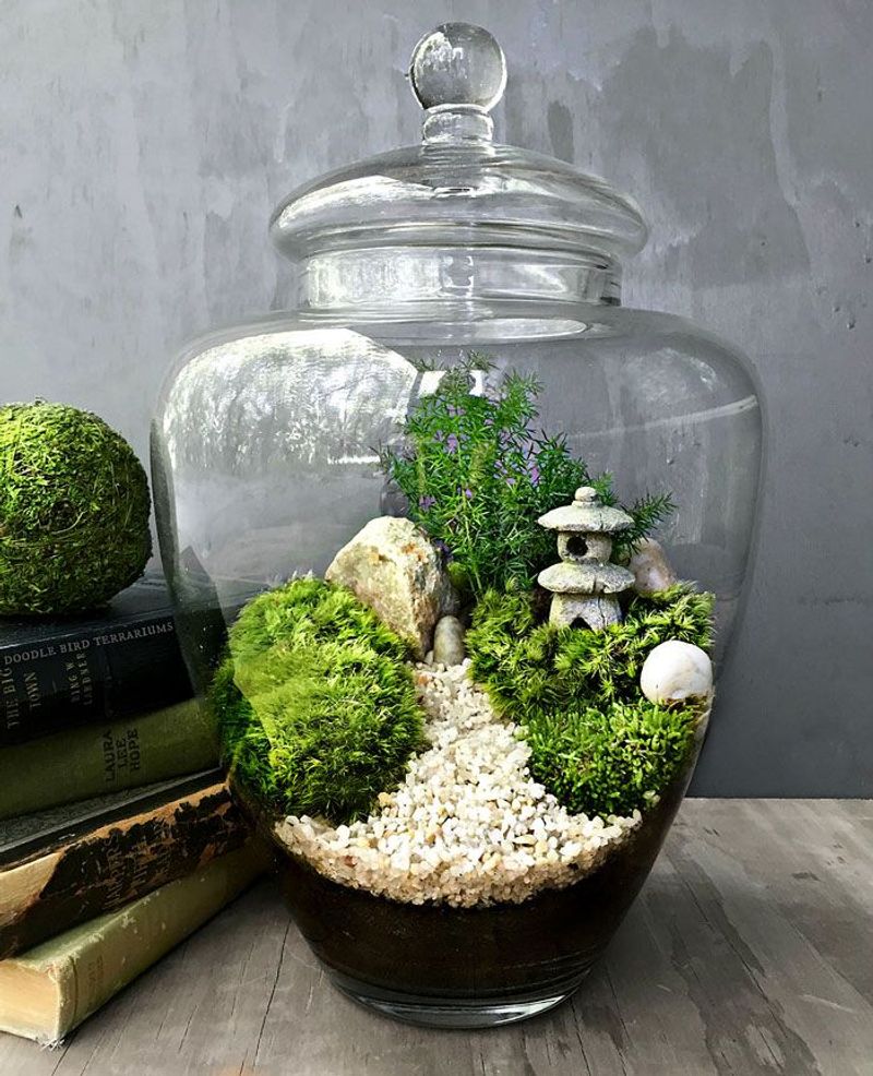 Zen Or Minimalist Terrarium