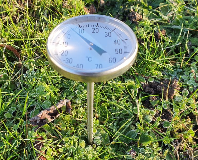 Soil Temperature Controls Spring Green Up