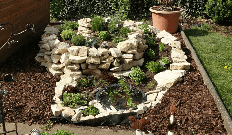The Middle Zone Supports Herbs With Balanced Moisture Needs