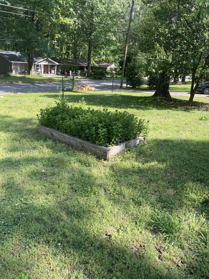 Mint + Any Other Herb