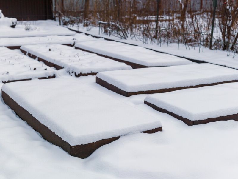 Don't Walk On Snow-Covered Garden Beds