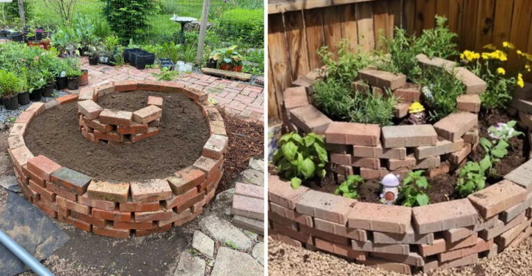 Here’s What To Plant In A Herb Spiral If You Live In North Carolina