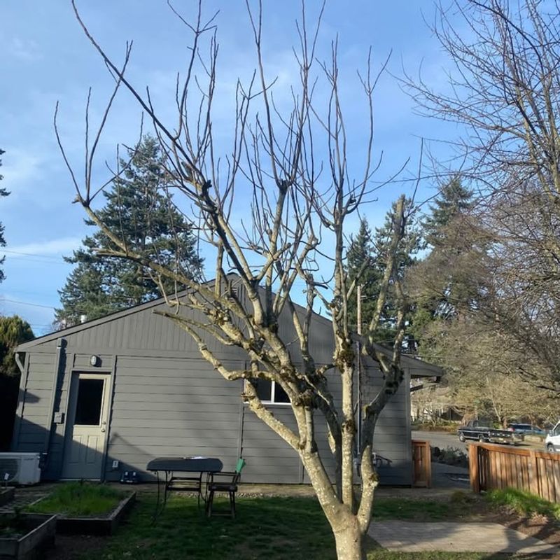 Late Winter Is The Ideal Window