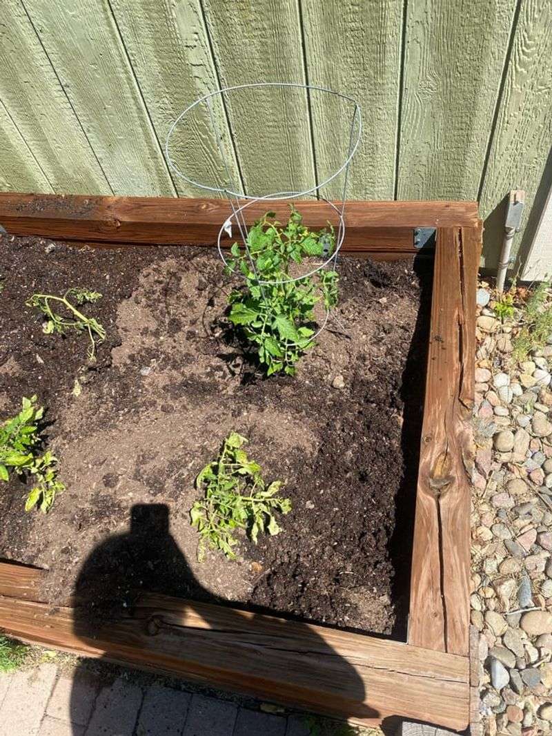 Cold Soil Holds Water Longer