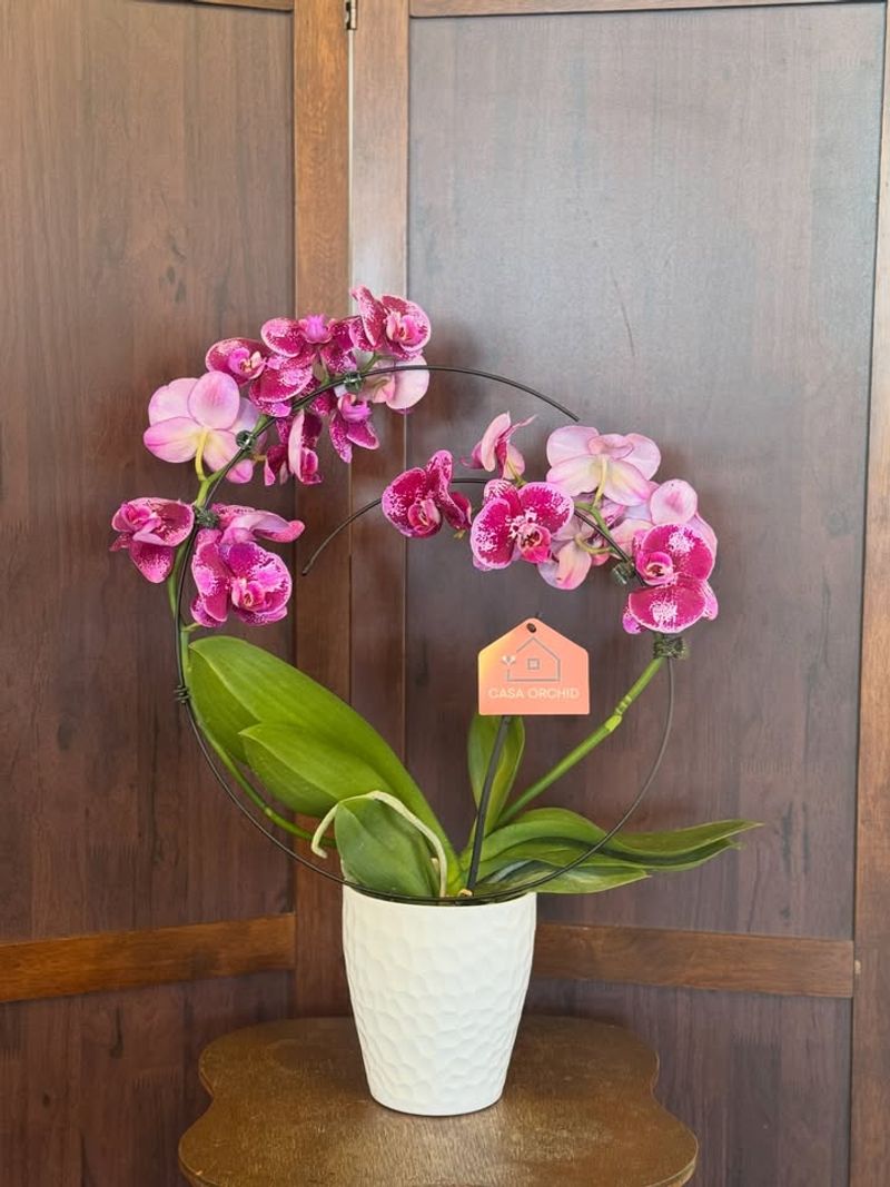 Longer Lasting Flowers Are Taking Over