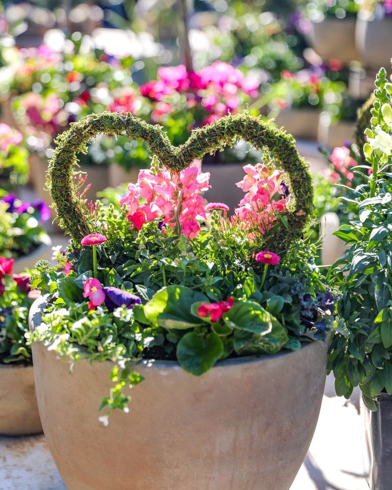 Mix Evergreen Shrubs With Seasonal Valentine Details