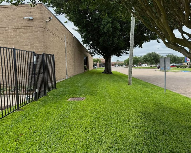 Understand Florida-Specific Lawn Requirements