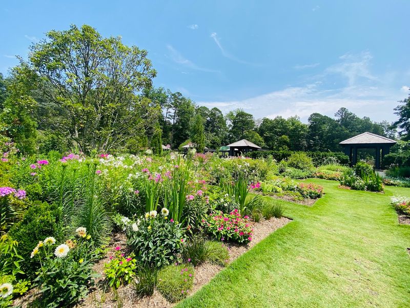 Beautiful Seasonal Blooms From Spring Through Fall