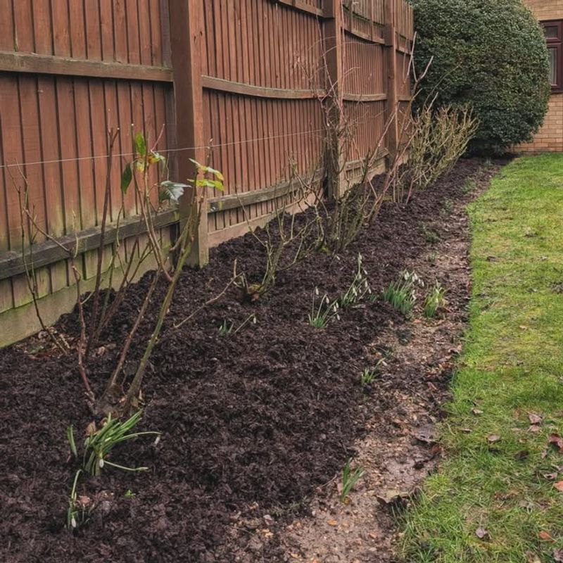 Refresh Mulch Without Burying The Crown