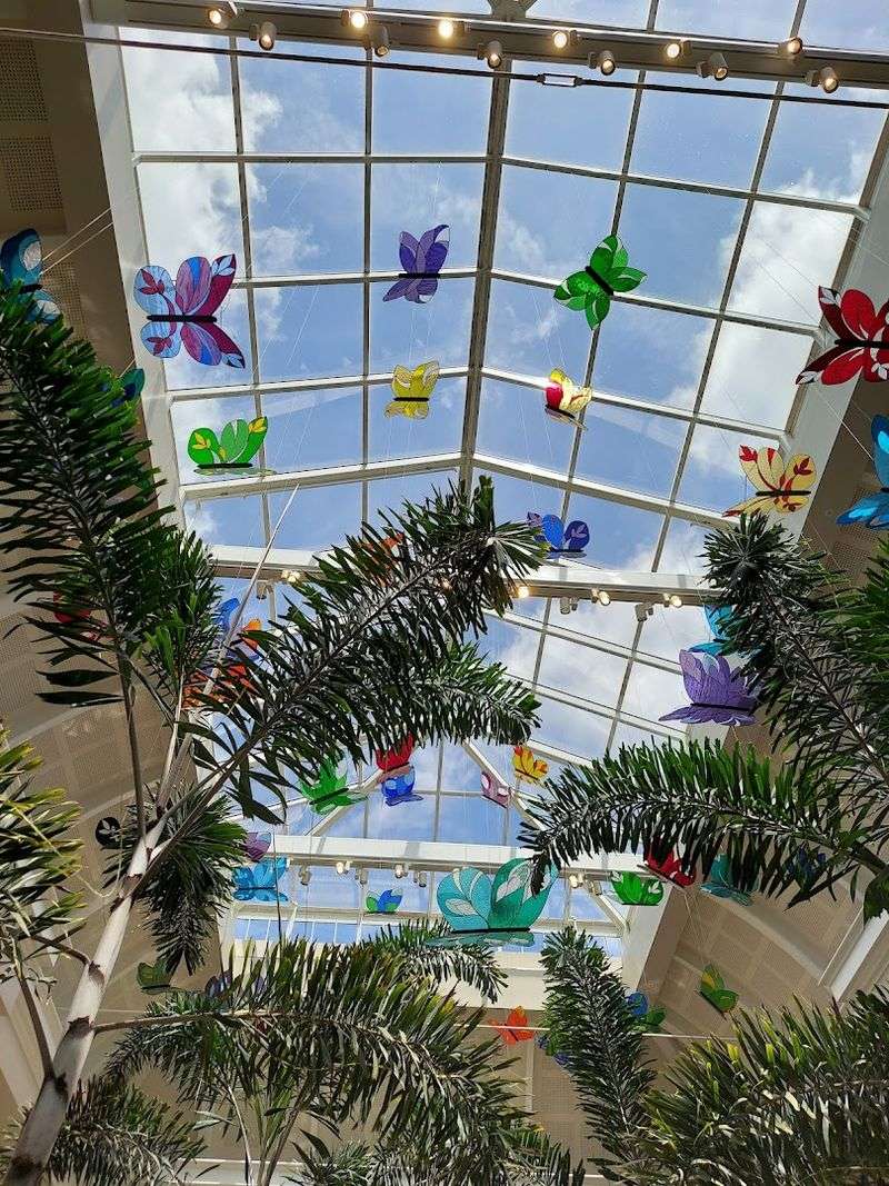 The Magic Of Transformation At The Chrysalis Display