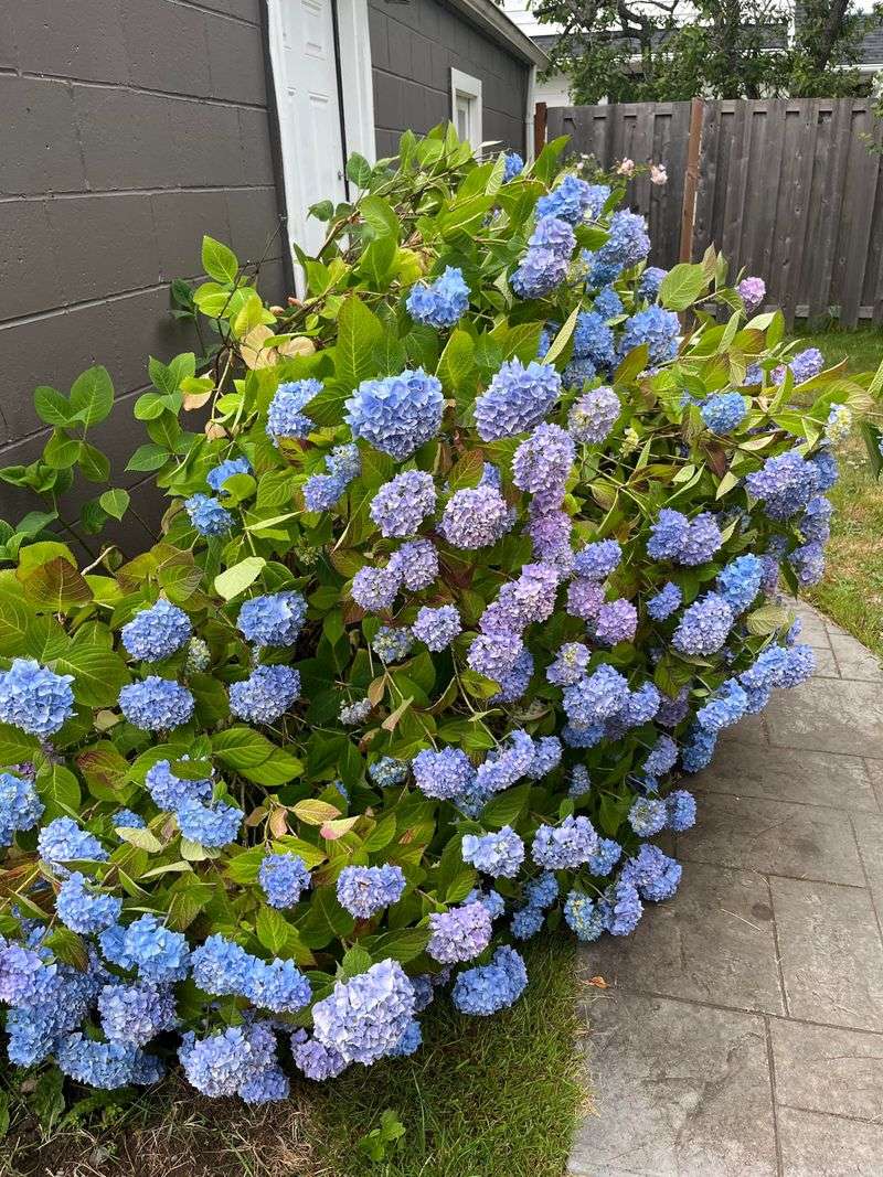 Rainfall And Soil Chemistry