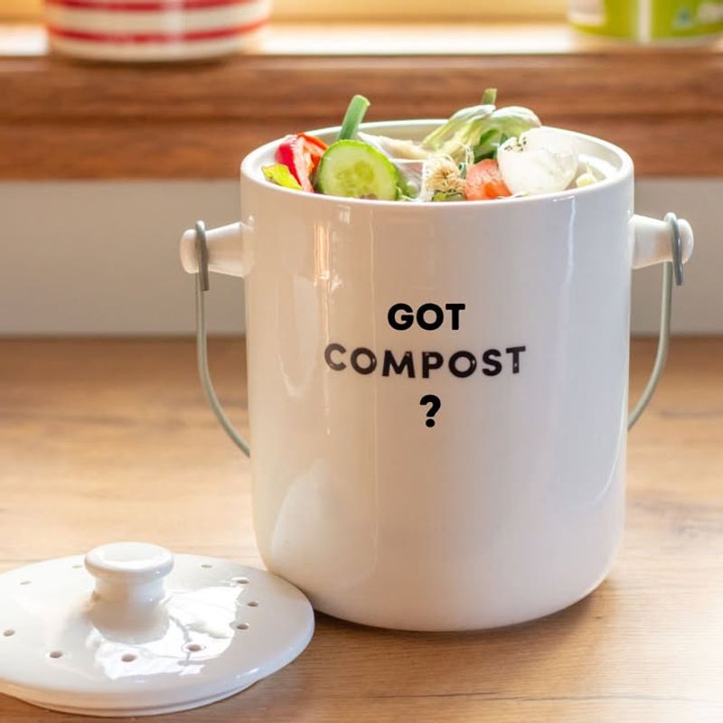 The Role Of Kitchen Scraps In Supporting Healthier Soil