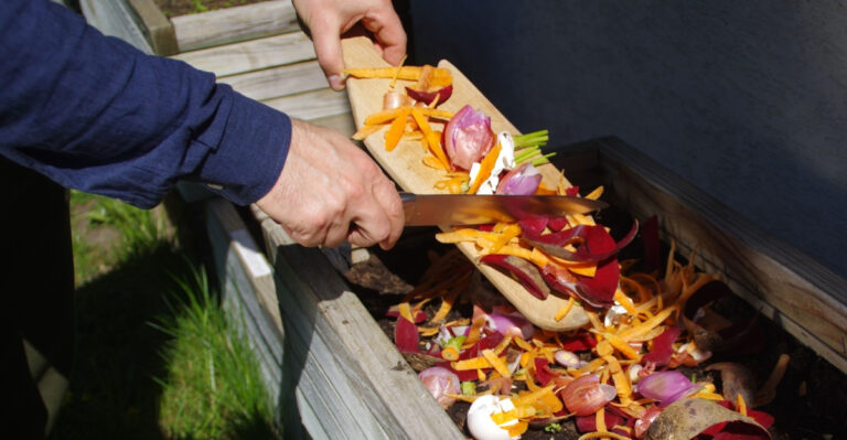 How California Gardeners Turn Everyday Kitchen Scraps Into Powerful Fertilizer