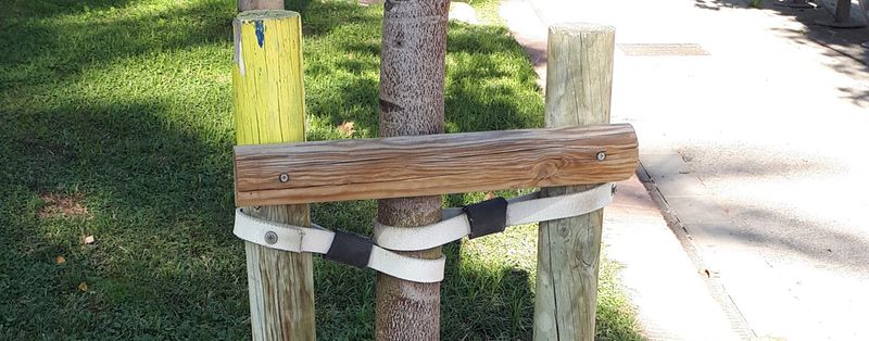 Where To Place Stakes 