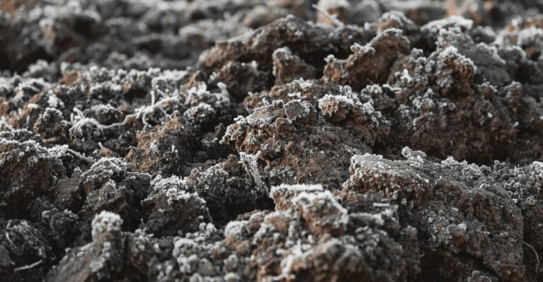 frozen soil
