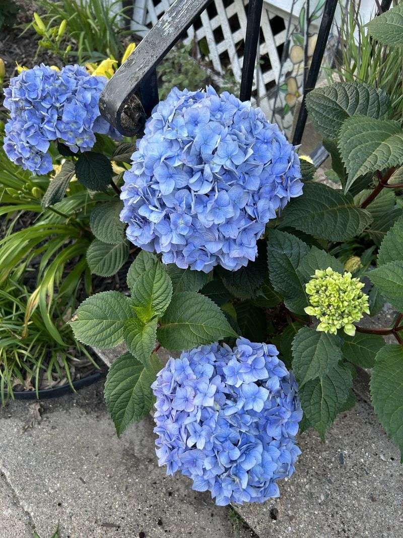 Soil Testing And What It Reveals