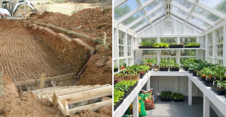 How Michigan Gardeners Build A Walipini Greenhouse For Year Round Growing