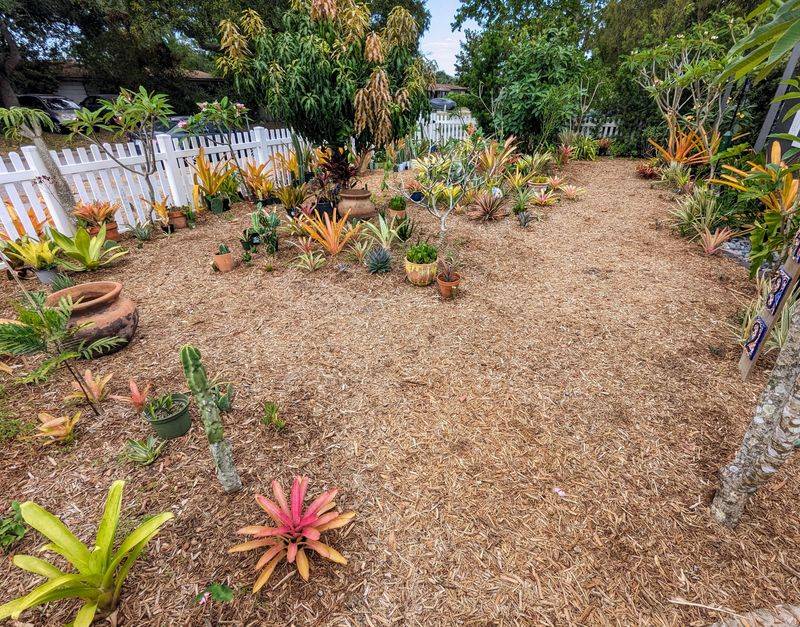Best Seasons To Replace Mulch In Florida