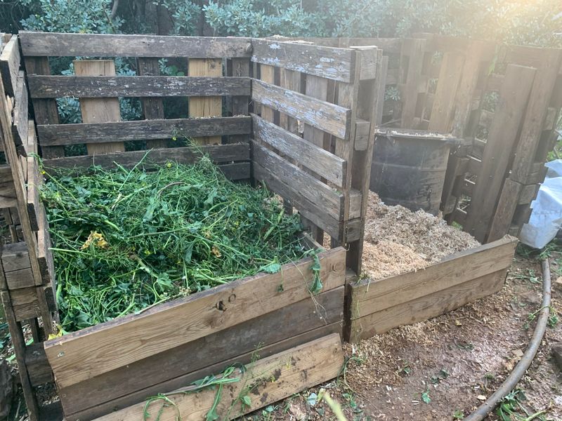 Balance Greens And Browns The Right Way