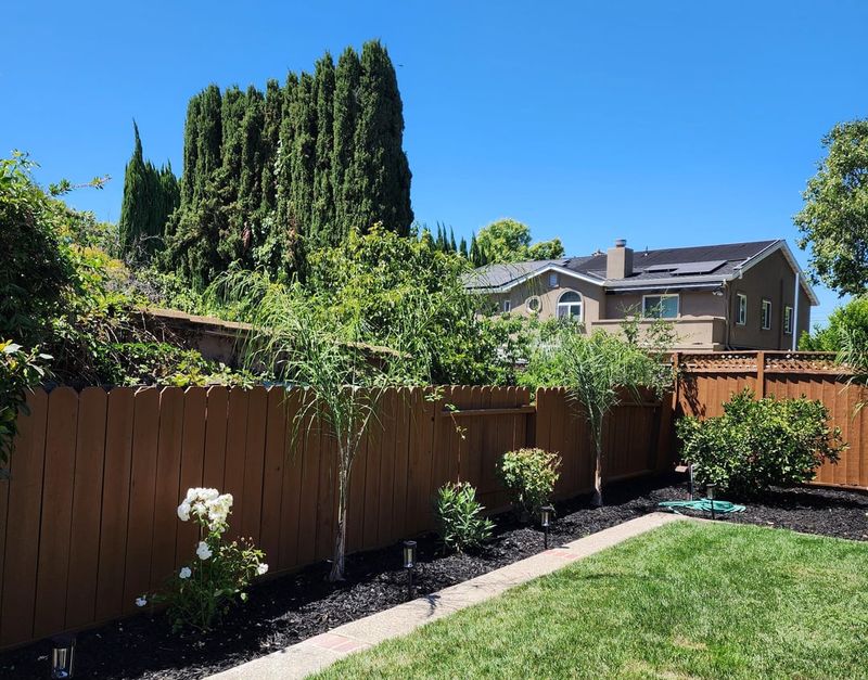 HOA Rules, City Laws, And What They Mean 