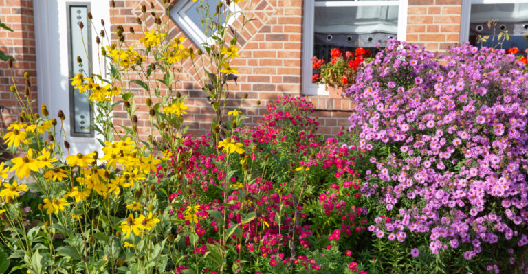 garden (featured image)