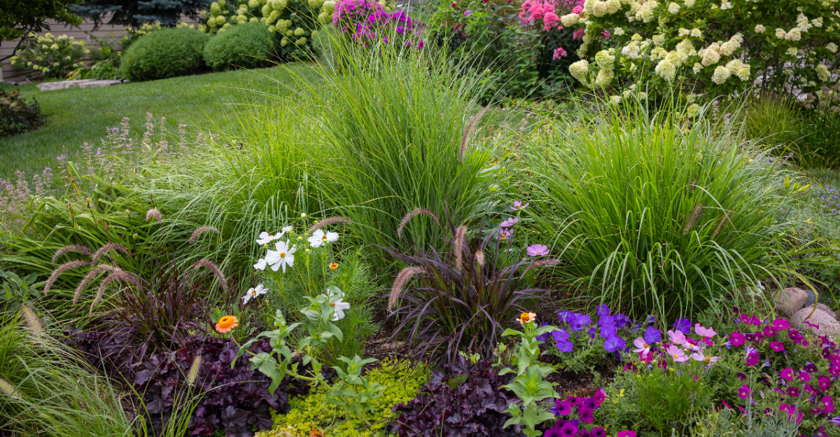 plant combinations in yard