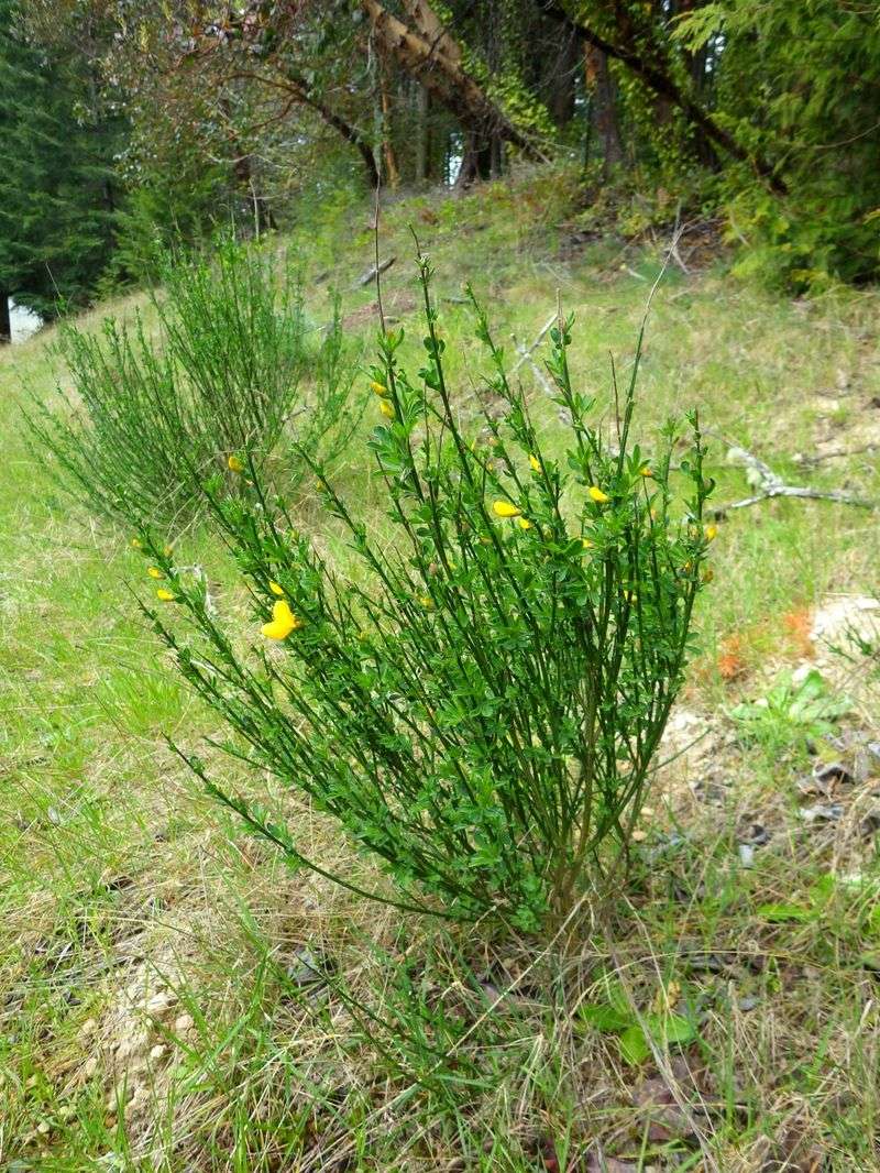 Spot It Early, Win The Battle