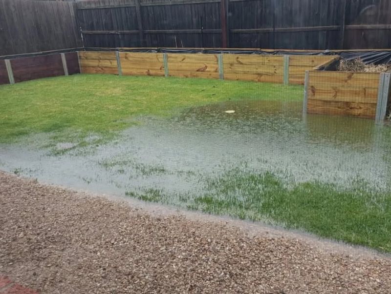 Identify Low Spots Where Water Collects After Rain