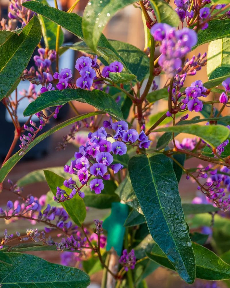 The Right Way To Water Without Overdoing It