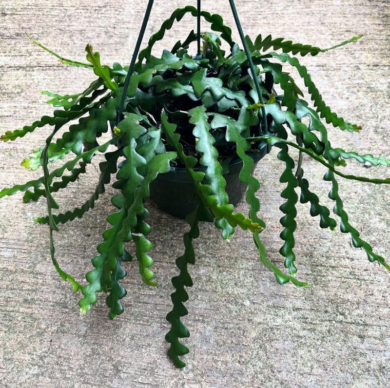 Bright Light Matters More Indoors Than Most People Think