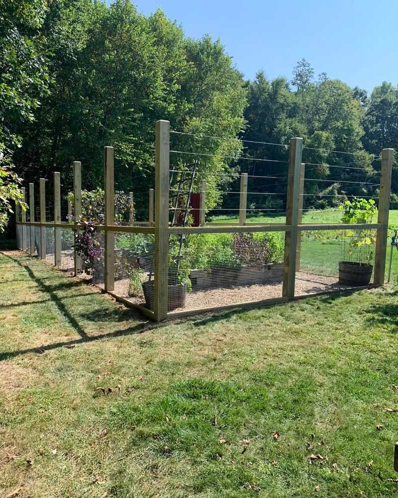 Install Hardware Cloth Or Wire Fencing