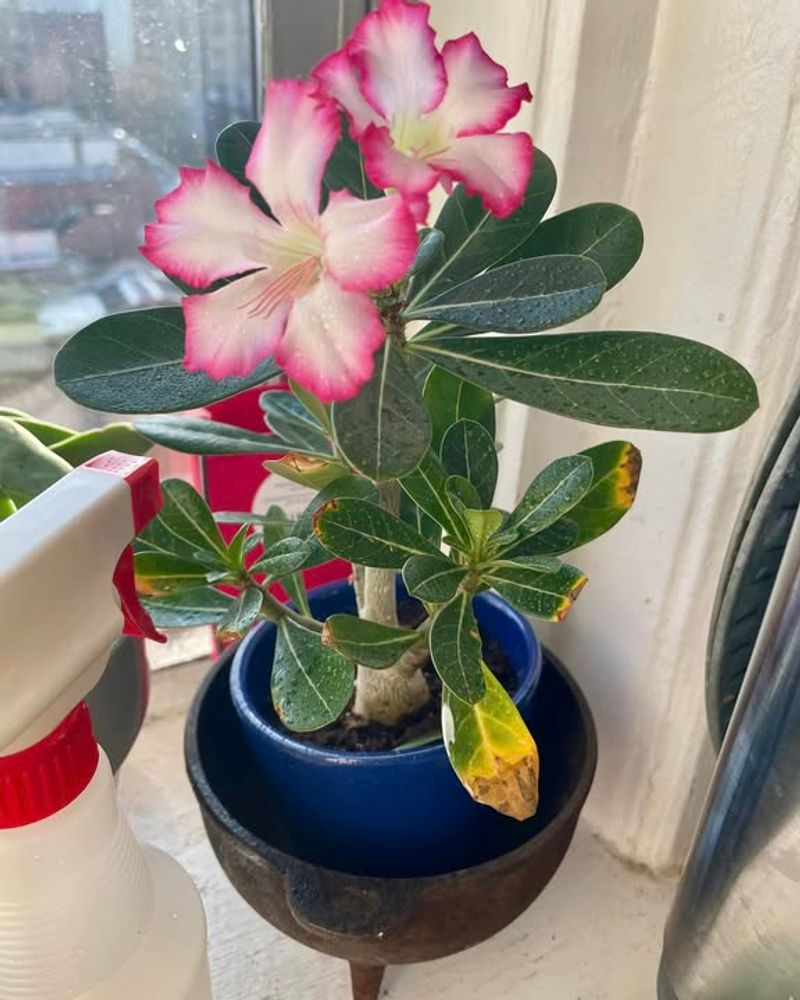 Keep Indoor Temperatures Warm And Stable Year-Round