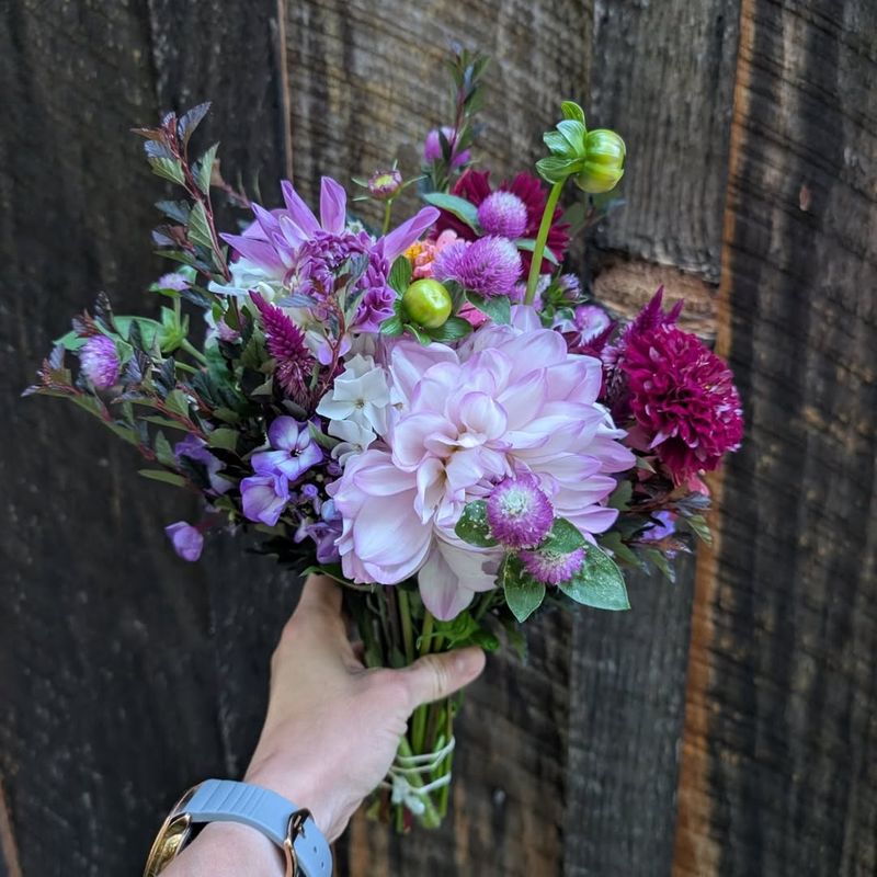 Consider Seasonal Availability