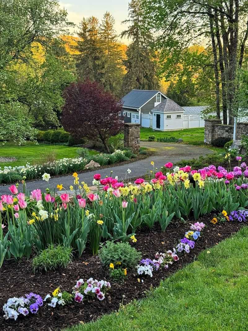 Begin With A Vision Of Color All Season