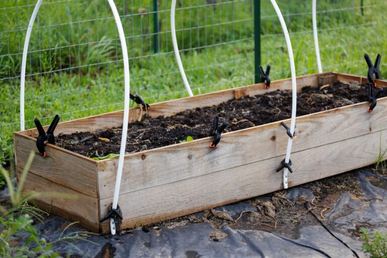 preparing garden bed for spring