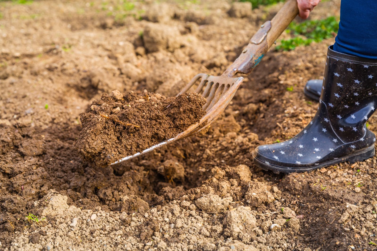 preparing garden soil