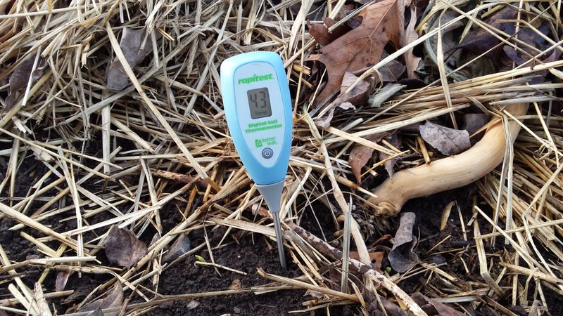 Wait For The Right Soil Temperature Before Working