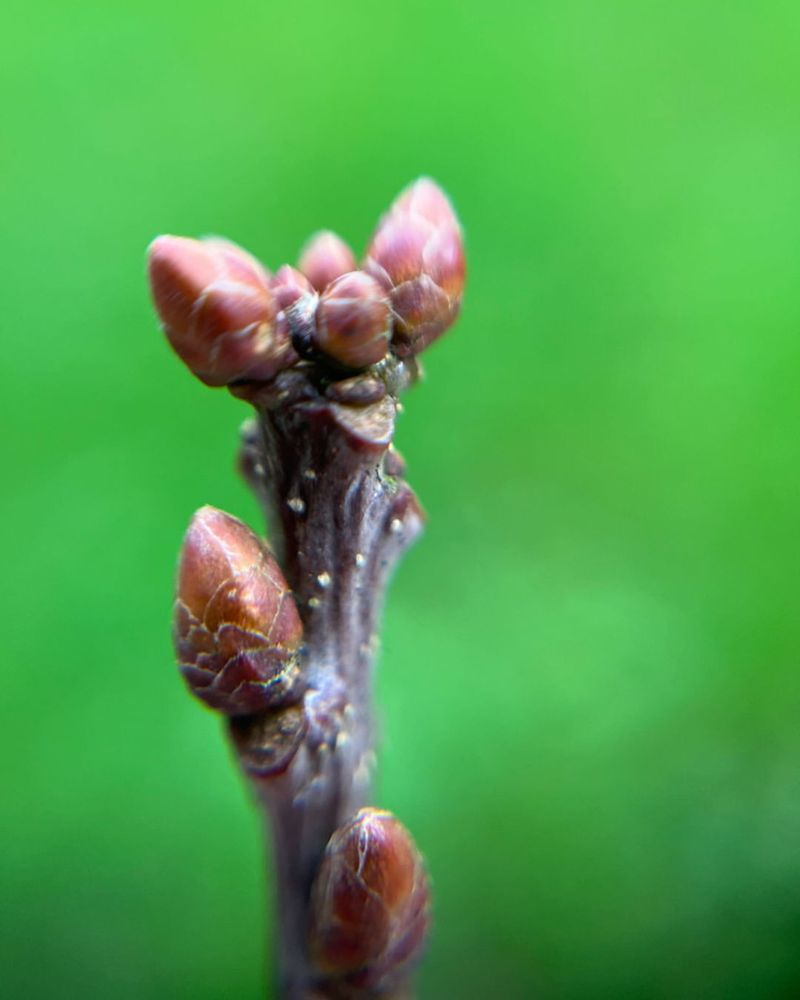 Watch The Forecast And Act Early