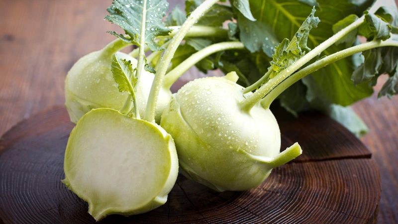 Harvest Kohlrabi When Bulbs Are 2–3 Inches In Diameter