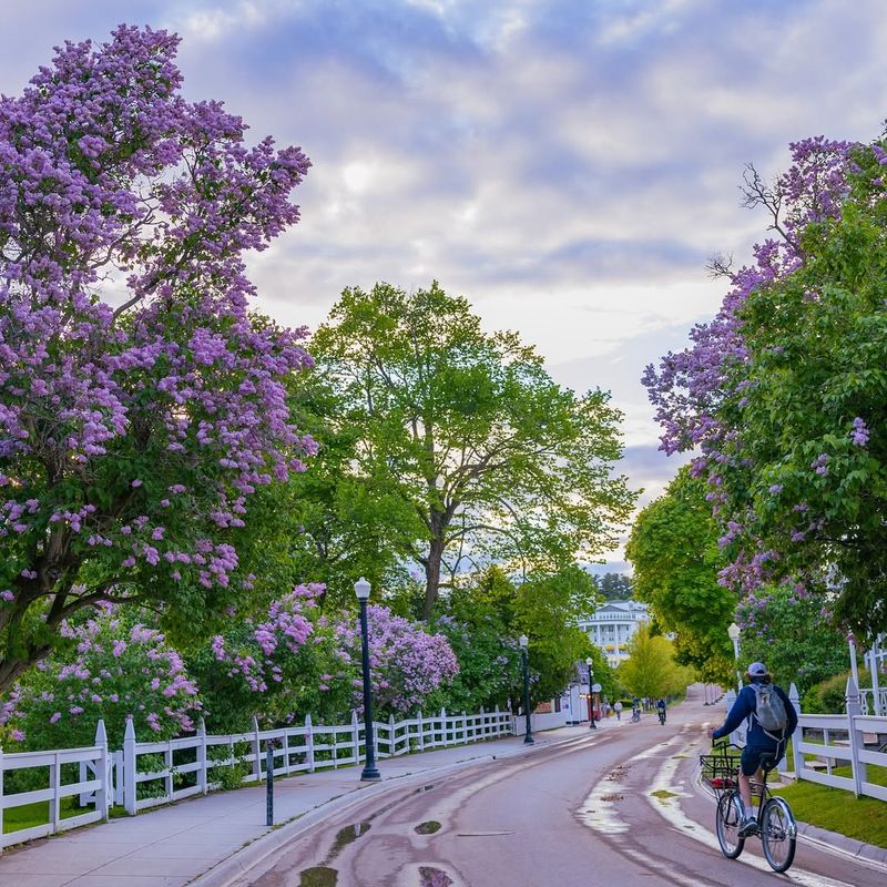 The Festival Runs For About 10 Days In June