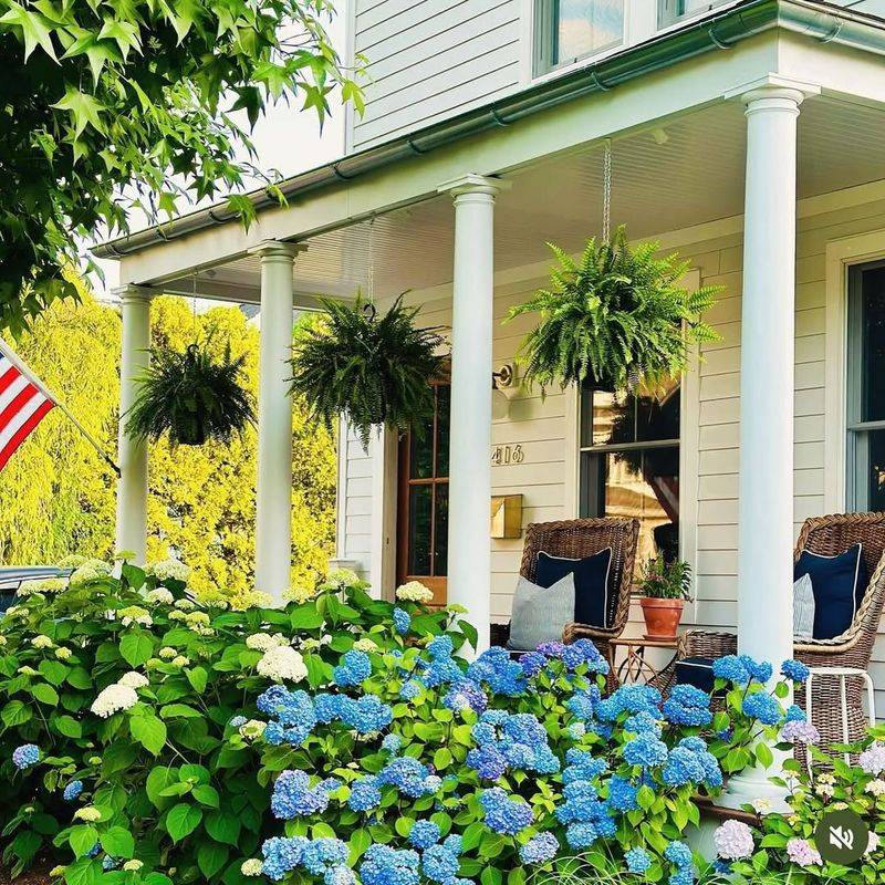 They Boost Curb Appeal Instantly