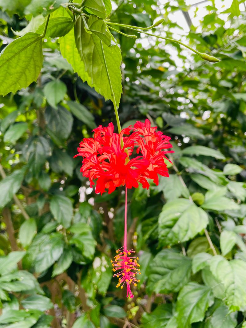 Seasonal Floral Displays And Garden Beds